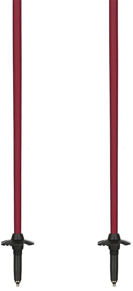 Fischer GT 13 Comp Mag Skistokken 130cm - Bruin