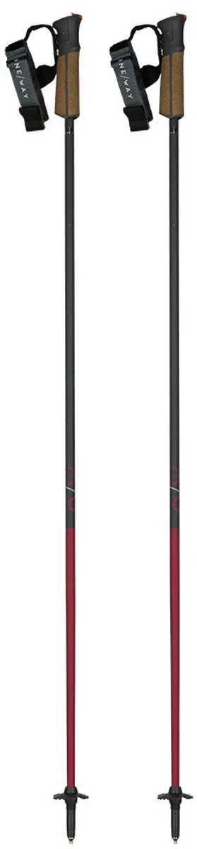 Fischer GT 13 Comp Mag Skistokken 130cm - Bruin
