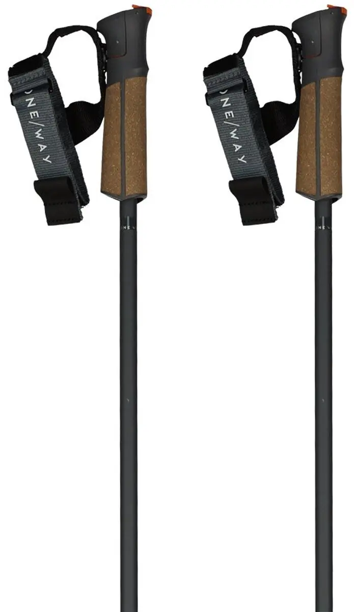 Fischer GT 13 Comp Mag Skistokken 130cm