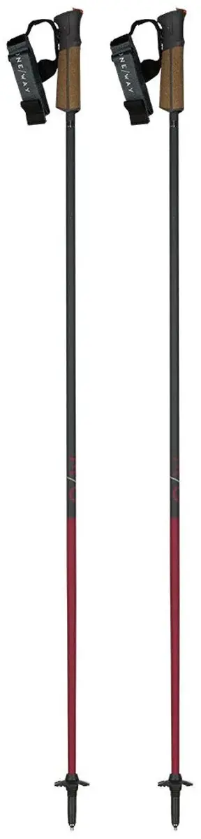 Fischer GT 13 Comp Mag Skistokken 130cm - Bruin