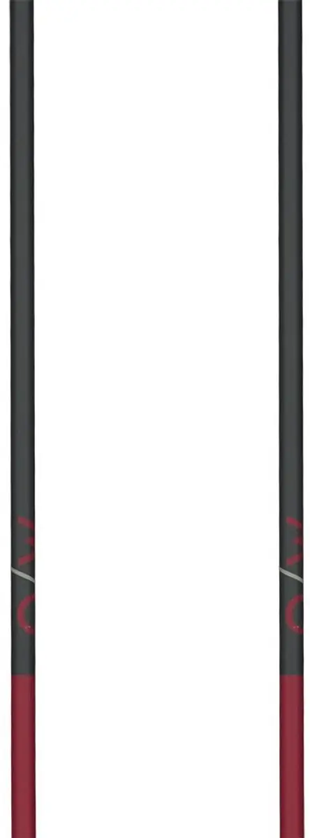 Fischer GT 13 Comp Mag Skistokken 130cm - Bruin