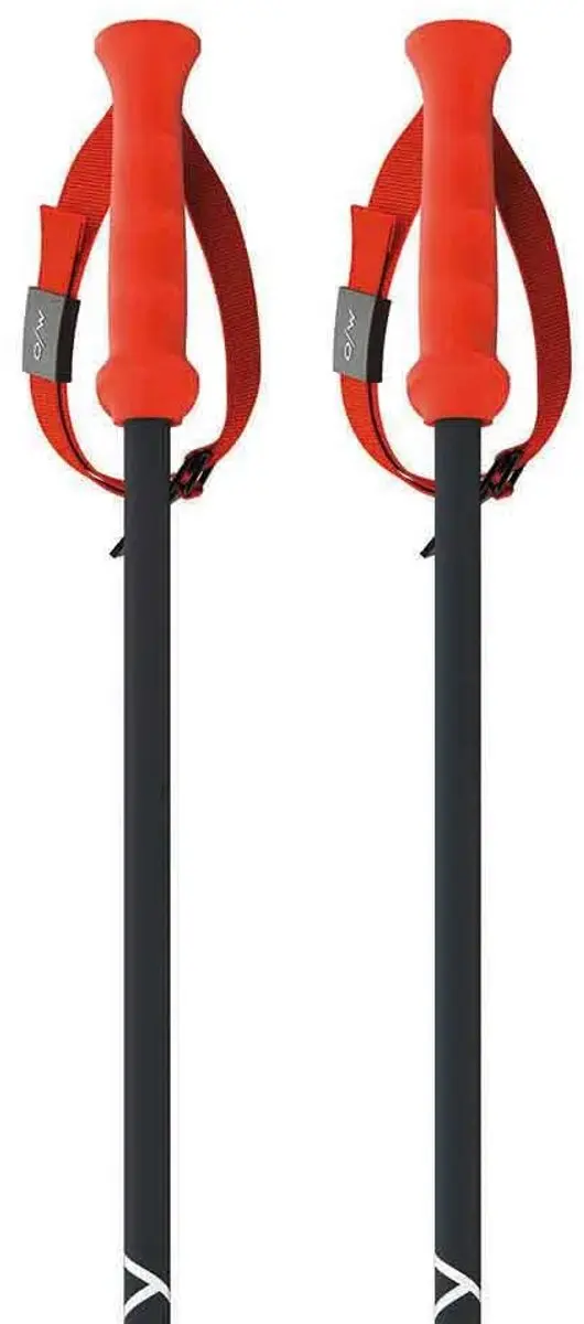 Fischer RD 16 SL Ski Stokken
