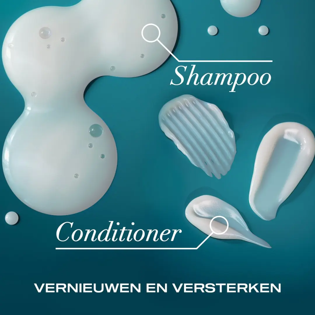 OGX Argan Oil of Morocco Conditioner 6x385ml