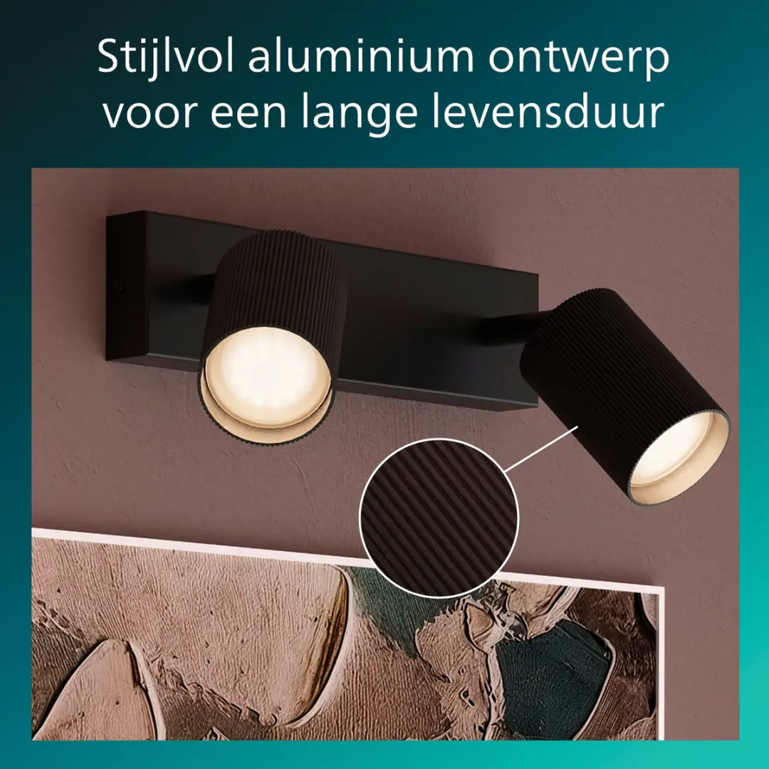 Philips Wyatt Opbouwspot GU10 2x - Zwart