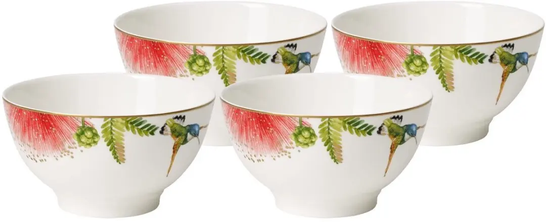 Villeroy & Boch Müslischalen Amazonia Ø14,9cm