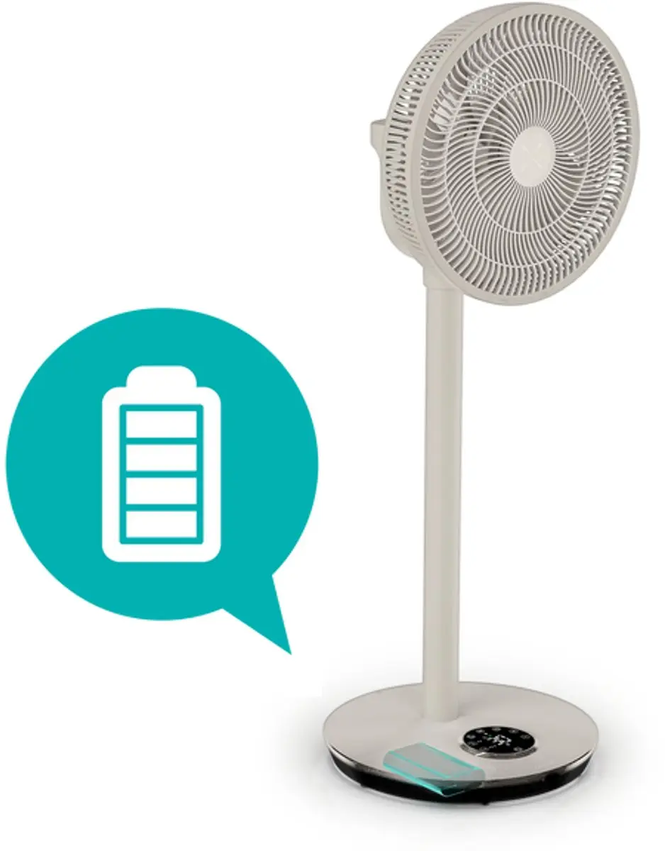 Duux Dock & Accu Whisper Flex 2