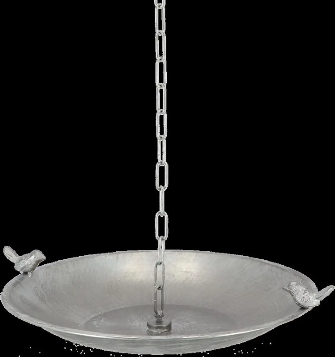 Esschert Design Regenketting met Vogelblad - Zilver