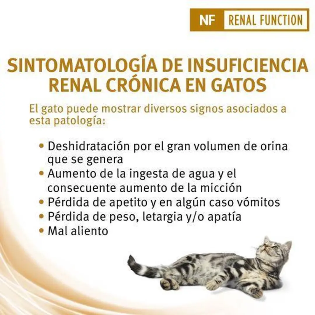 Purina Veterinary Diet NF Kattenvoer - 10x85g - afbeelding 6 van 6