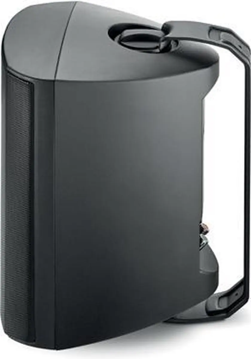 Focal 100 OD6 Speaker - 120W - Zwart