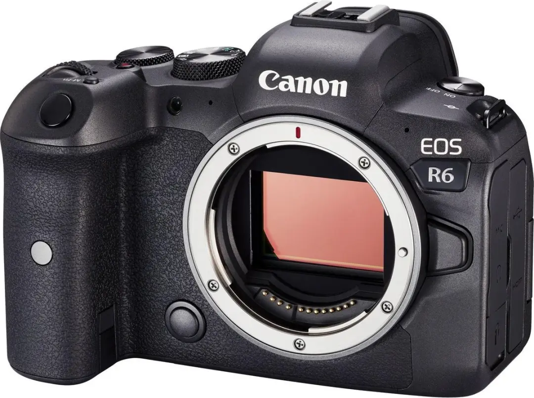 Canon EOS R6 Body - Zwart - afbeelding 6 van 6