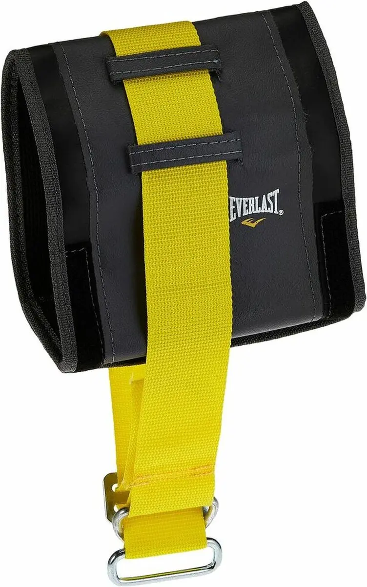 Everlast Universal Heavy Bag Holder