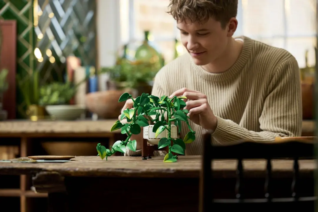 LEGO Botanicals Hangende Drakenklimop 11512 - 372 Stukken