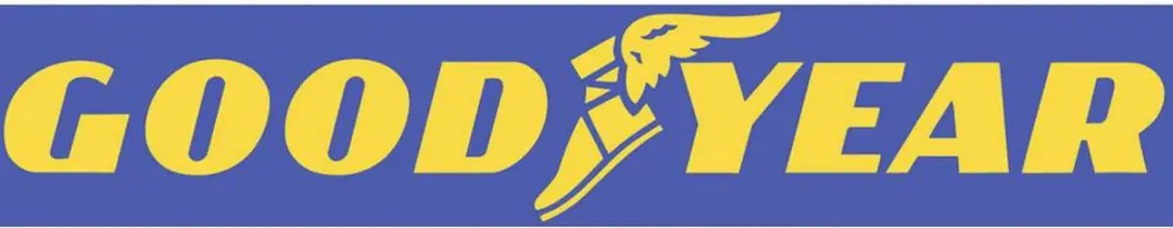 Goodyear 75526 Bandentassen