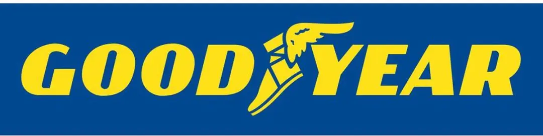 Goodyear 75526 Bandentassen