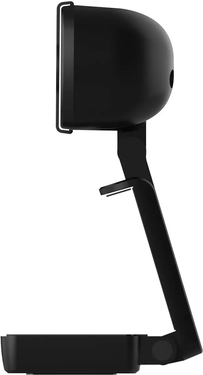 Sandberg USB Webcam Pro+ 4K 133-98 - Zwart