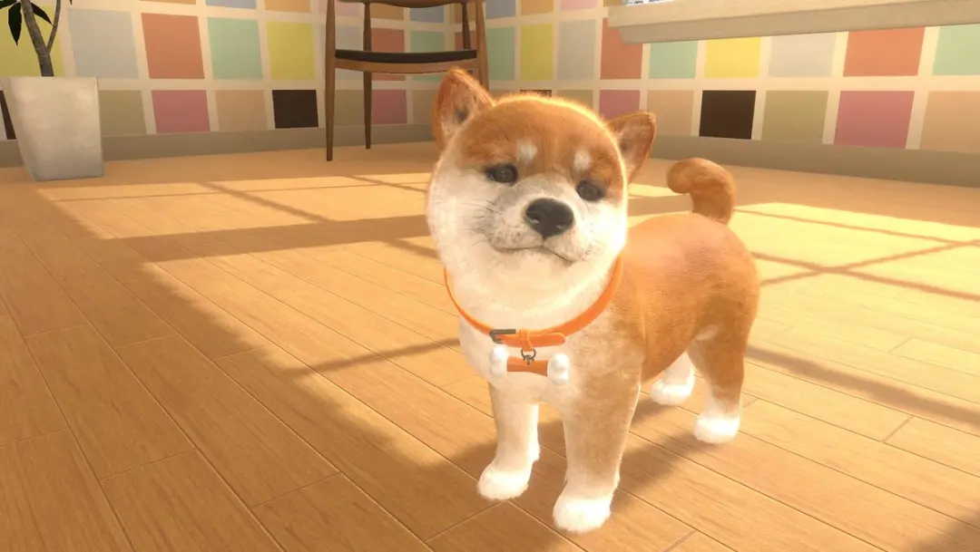 Mindscape Little Friends Dogs and Cats Switch