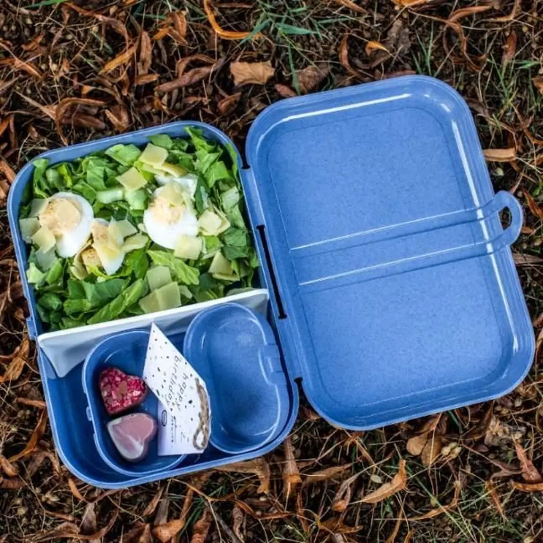 Koziol Organic Aqua Lunchbox met Verdeler 2.4L - Blauw