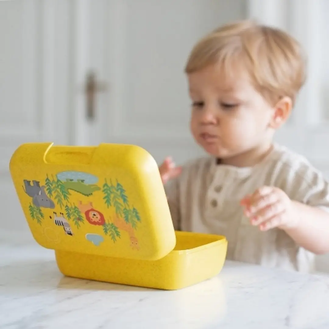Koziol Candy L Lunchbox 1.25L - Paars