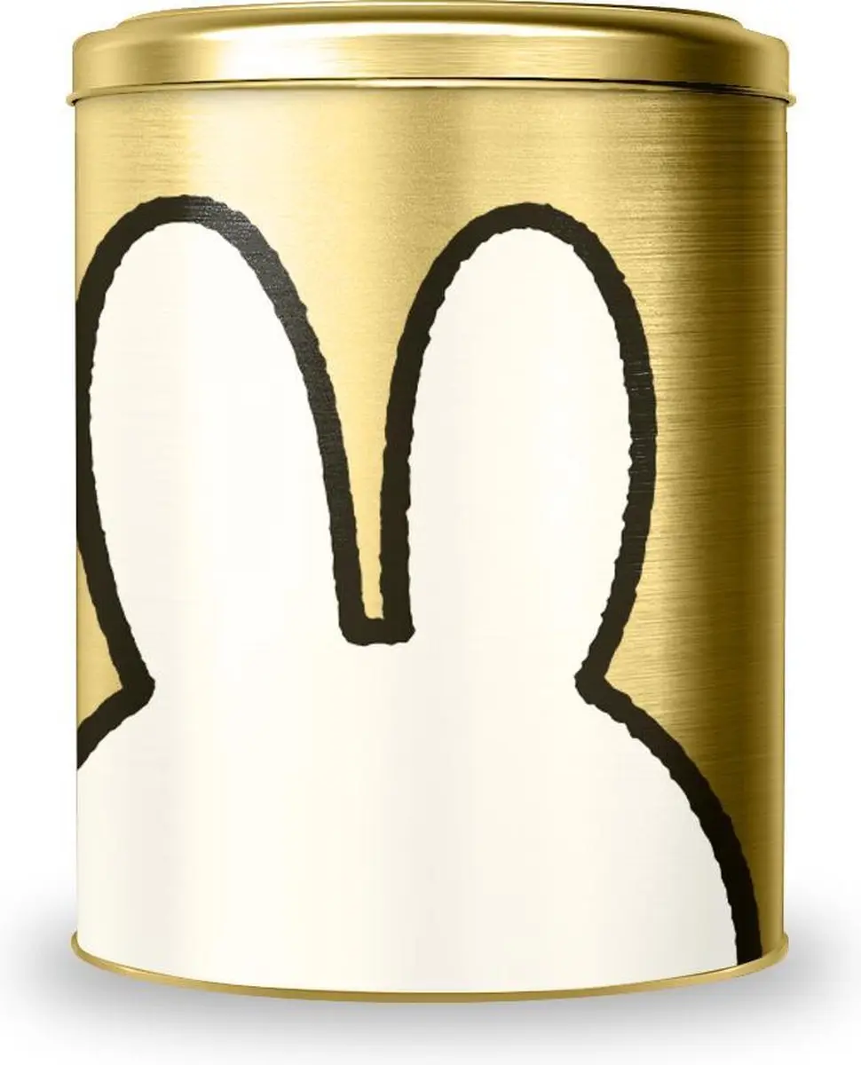 Nijntje Bewaar- en Opbergblik XL 28cm - Goud/Wit