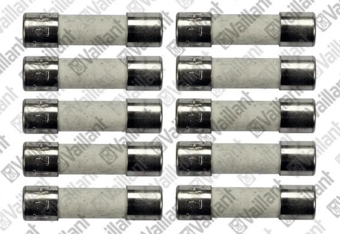 Vaillant Zekering 2,0A T2H