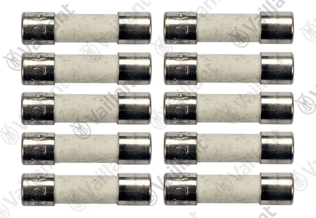 Vaillant Zekering 2,0A T2H - 10 Stuks