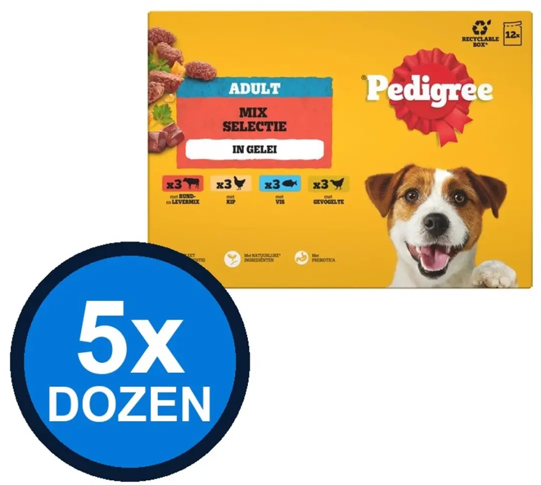 Pedigree Pouch Adult Gelei Fav Sel Multipack