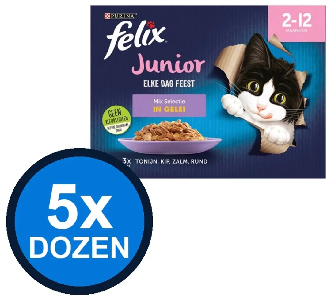 Felix Elke Dag Feest In Gelei Junior Mix Selectie