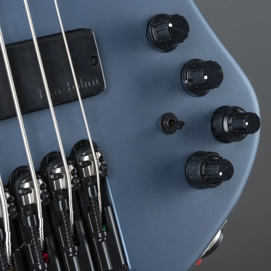 Ibanez Bass Workshop EHB1005F-AOM Fretless - 5-snarig - Arctic Ocean Matte