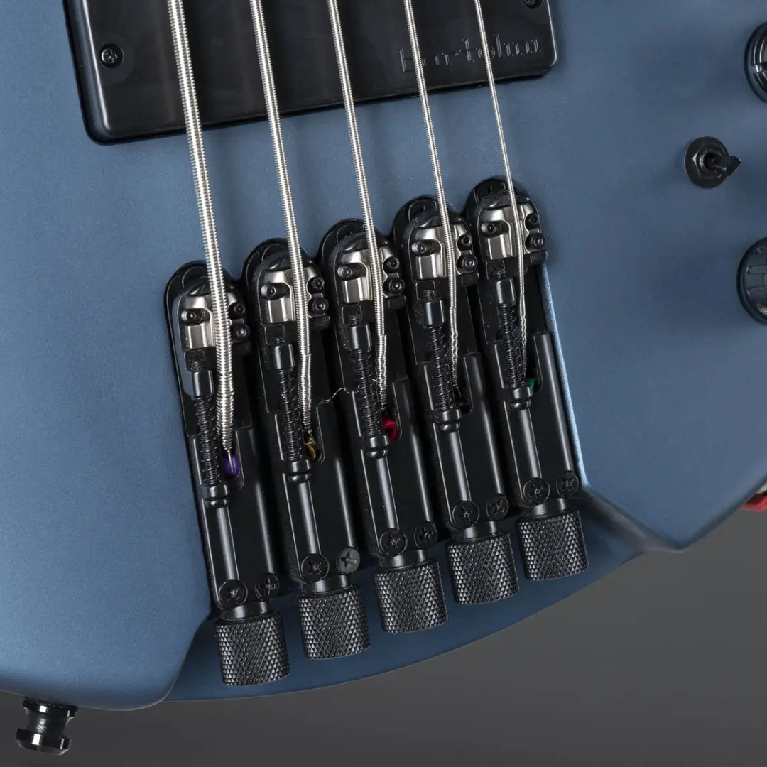Ibanez Bass Workshop EHB1005F-AOM Fretless - 5-snarig - Arctic Ocean Matte