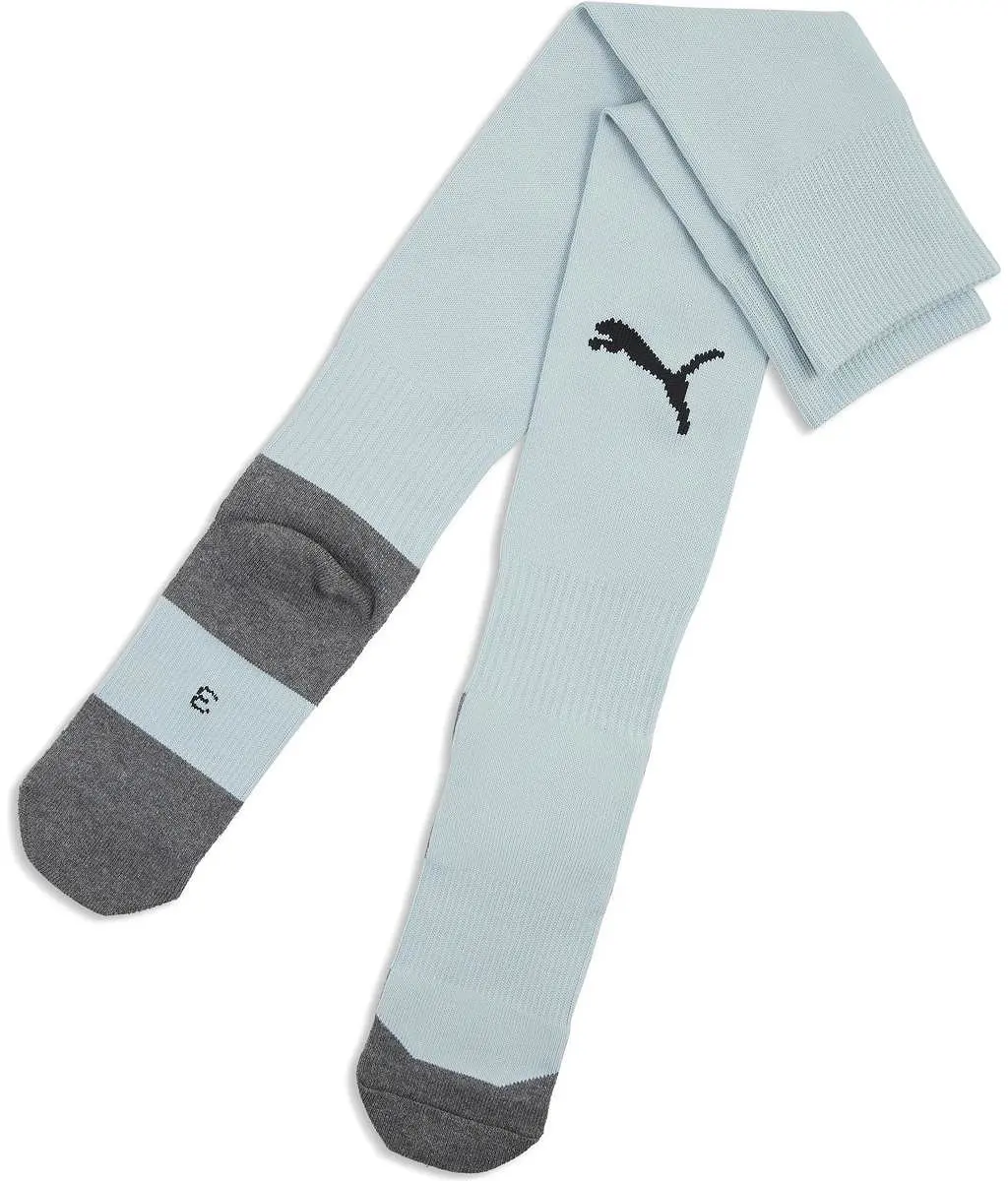 PUMA Teamliga Voetbalkousen Munt