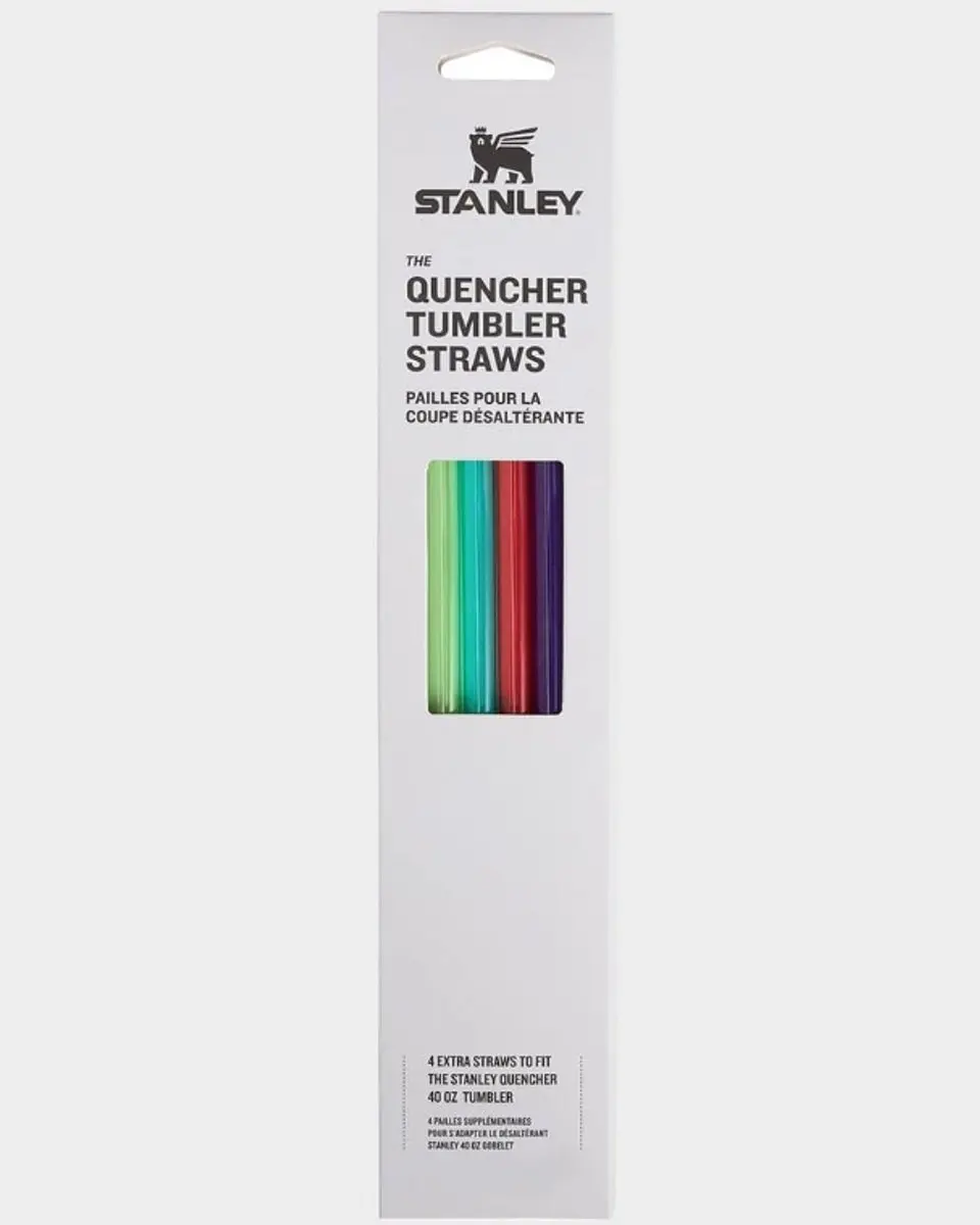 Stanley Quencher Summer 2 Herbruikbare RVS Rietjes