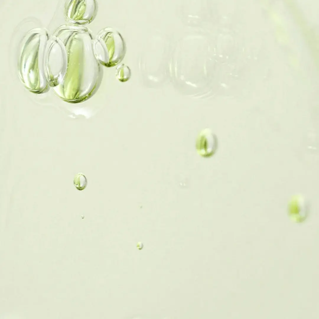 Beauty of Joseon Calming Serum Green Tea + Panthenol 60ml