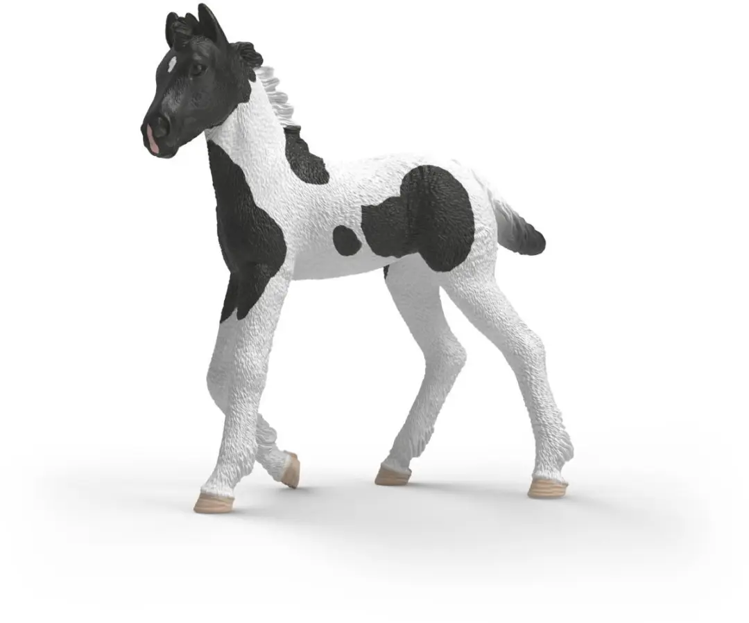 Schleich Verzamelveulen Rocky 81481
