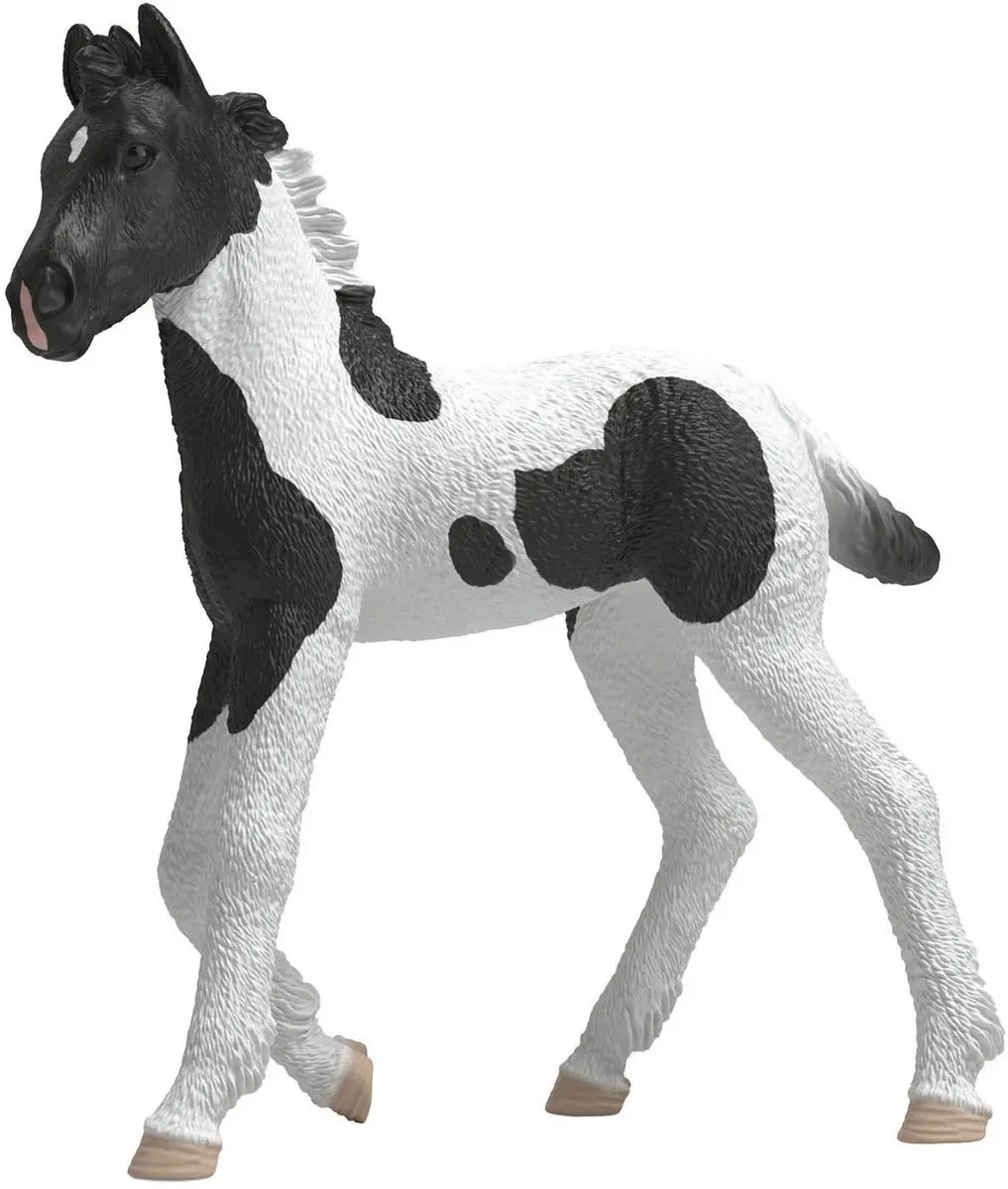 Schleich Verzamelveulen Rocky 81481 - Meerkleurig