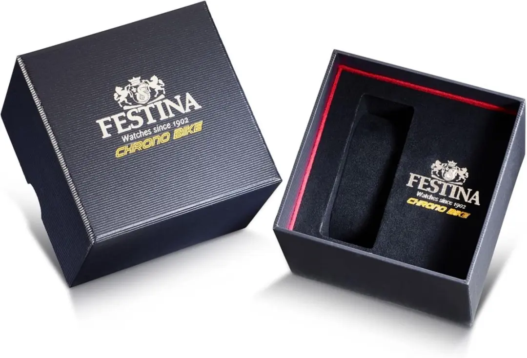 Festina F20671/1 Herenhorloge - Zilver/Blauw
