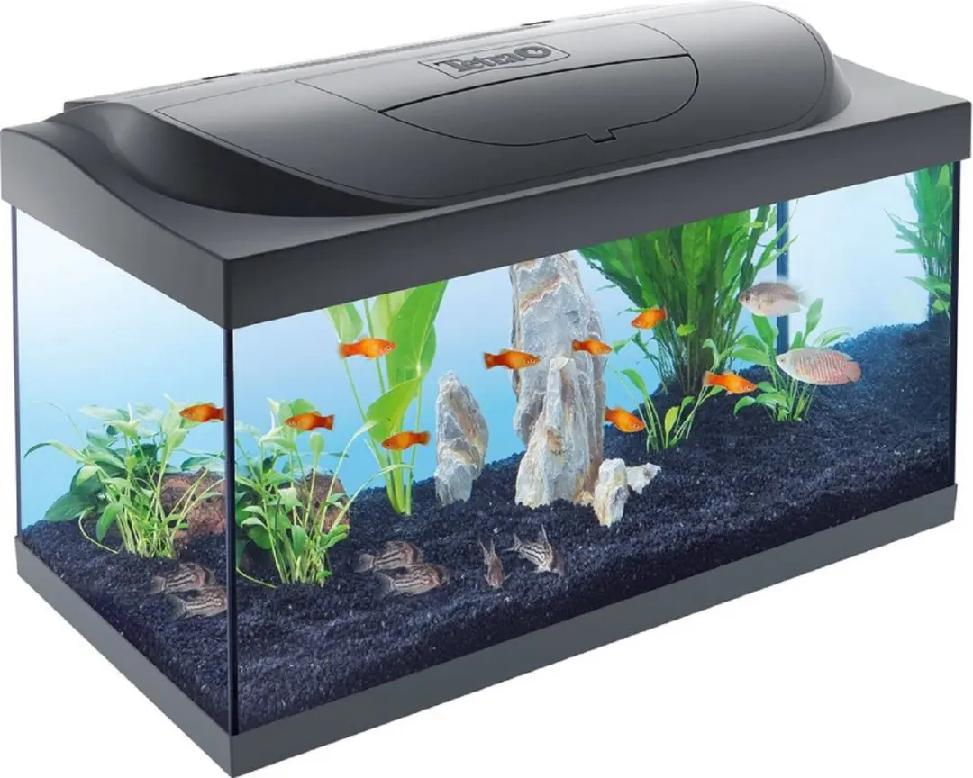 Tetra Starter Line Aquarium 54L