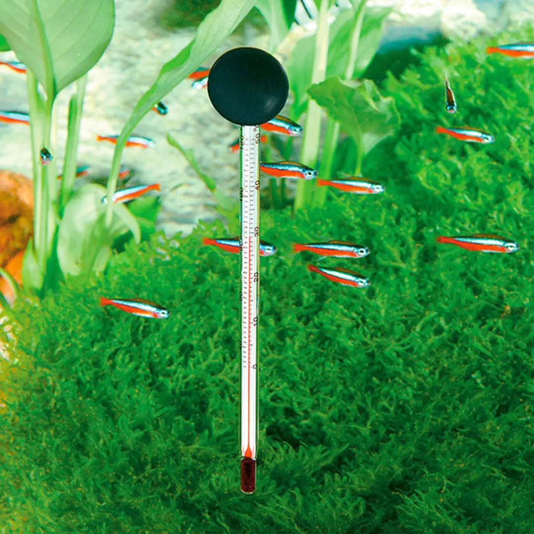 Ferplast Aquarium Thermometer Blauw
