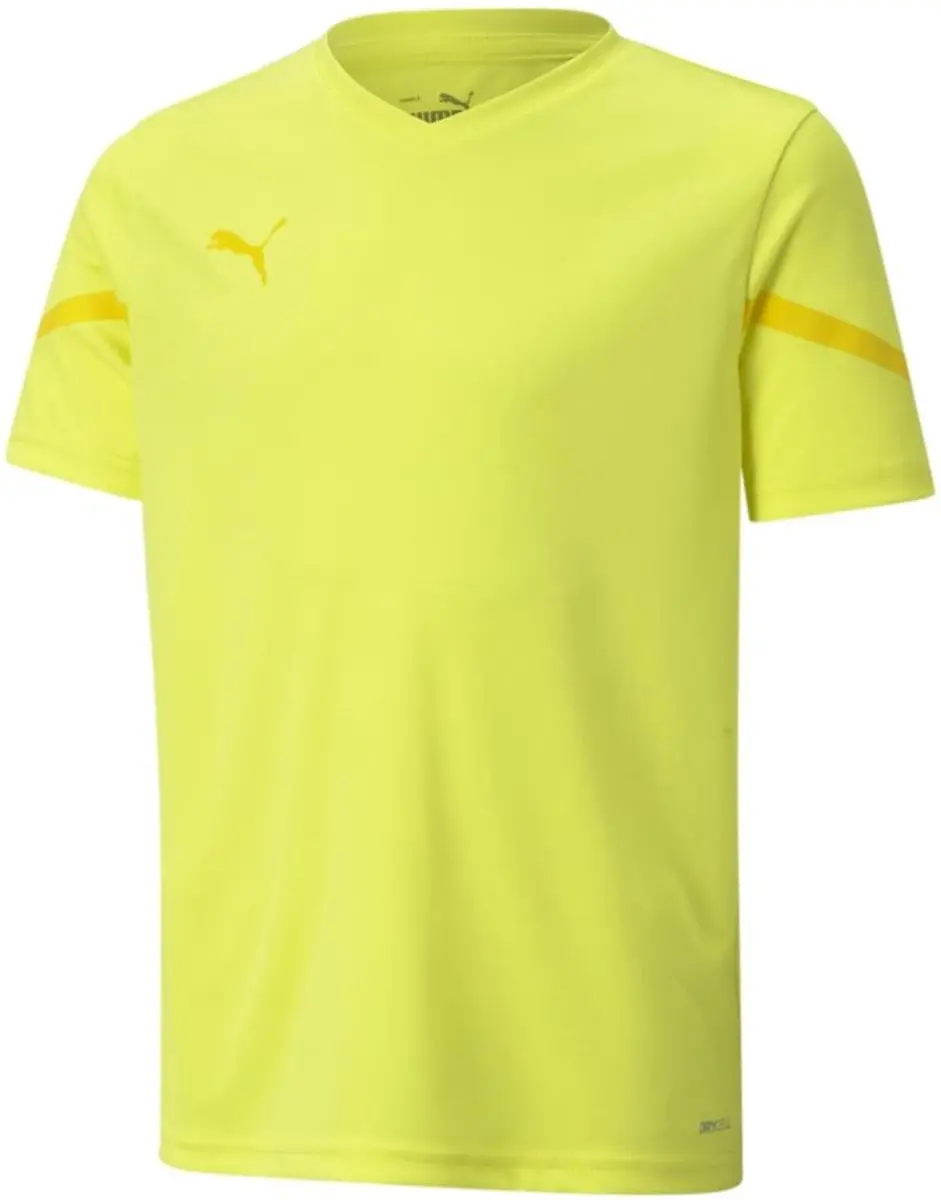 PUMA Teamflash Jersey 116