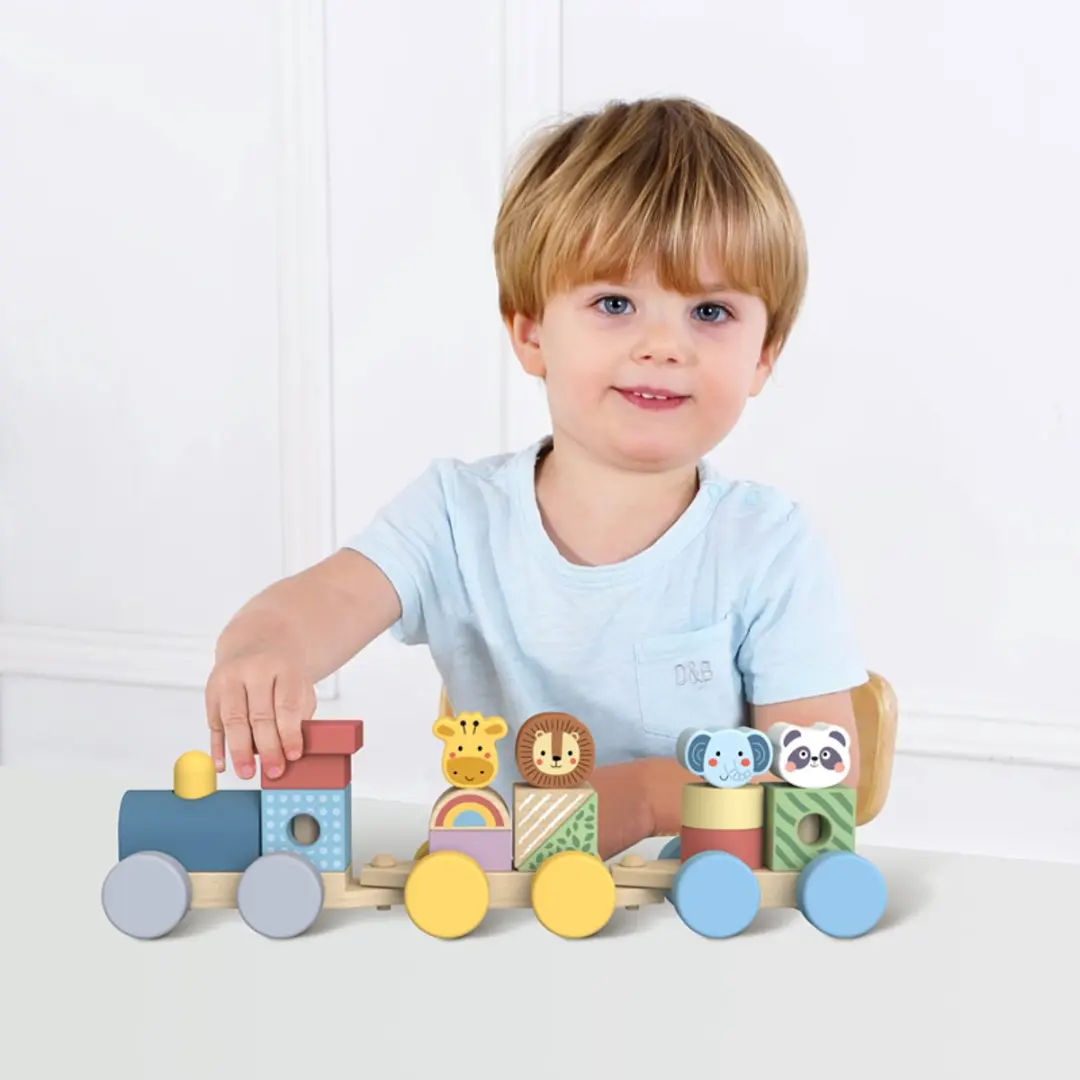 Tooky Toy Dieren Blokkentrein Multicolor