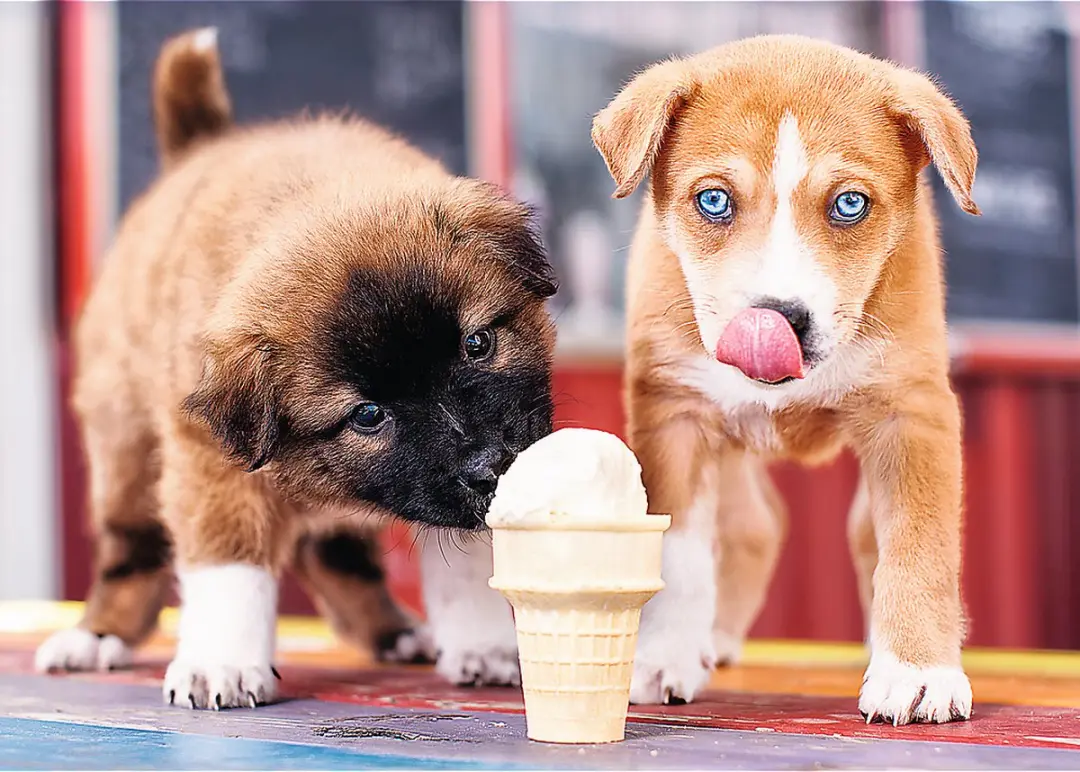 Trefl Ice Cream Time! 500 Stuks - Meerkleurig