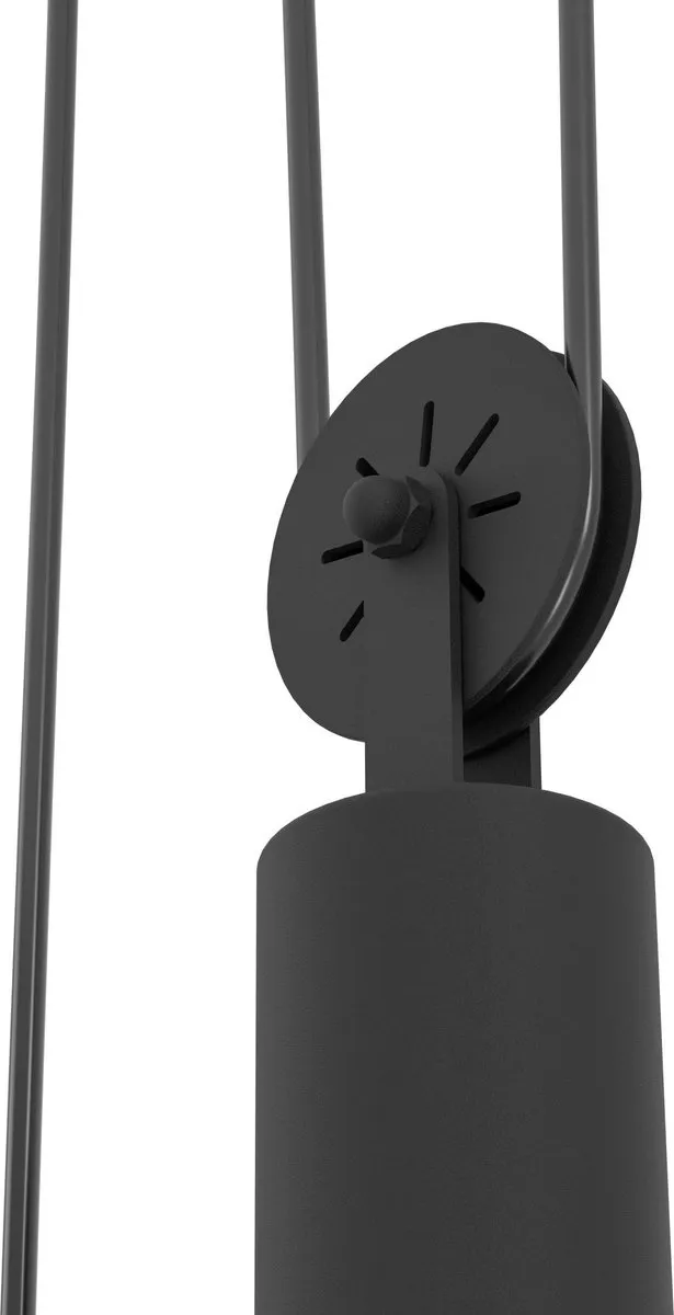 Eglo Winkworth Hanglamp - 2x E27 - Ø38cm - Zwart