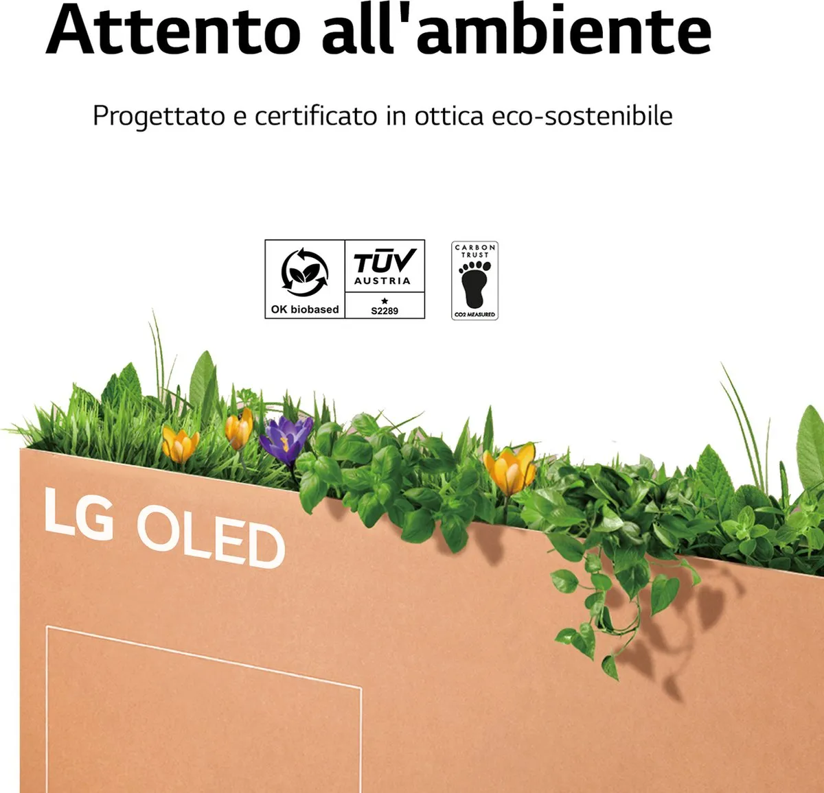 LG CS OLED55CS6LA 55 inch OLED TV - Zwart/Zilver