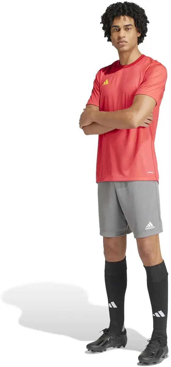 Adidas Omkeerbare Jersey 24 - L - Rood
