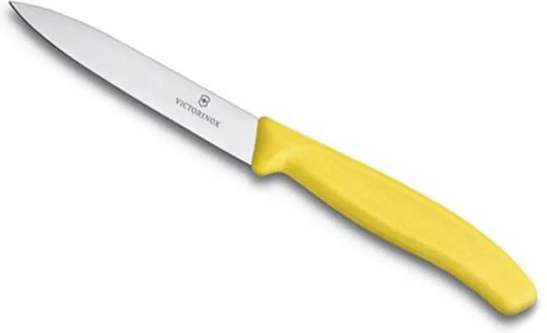Victorinox CX750 Schilmesje 10cm