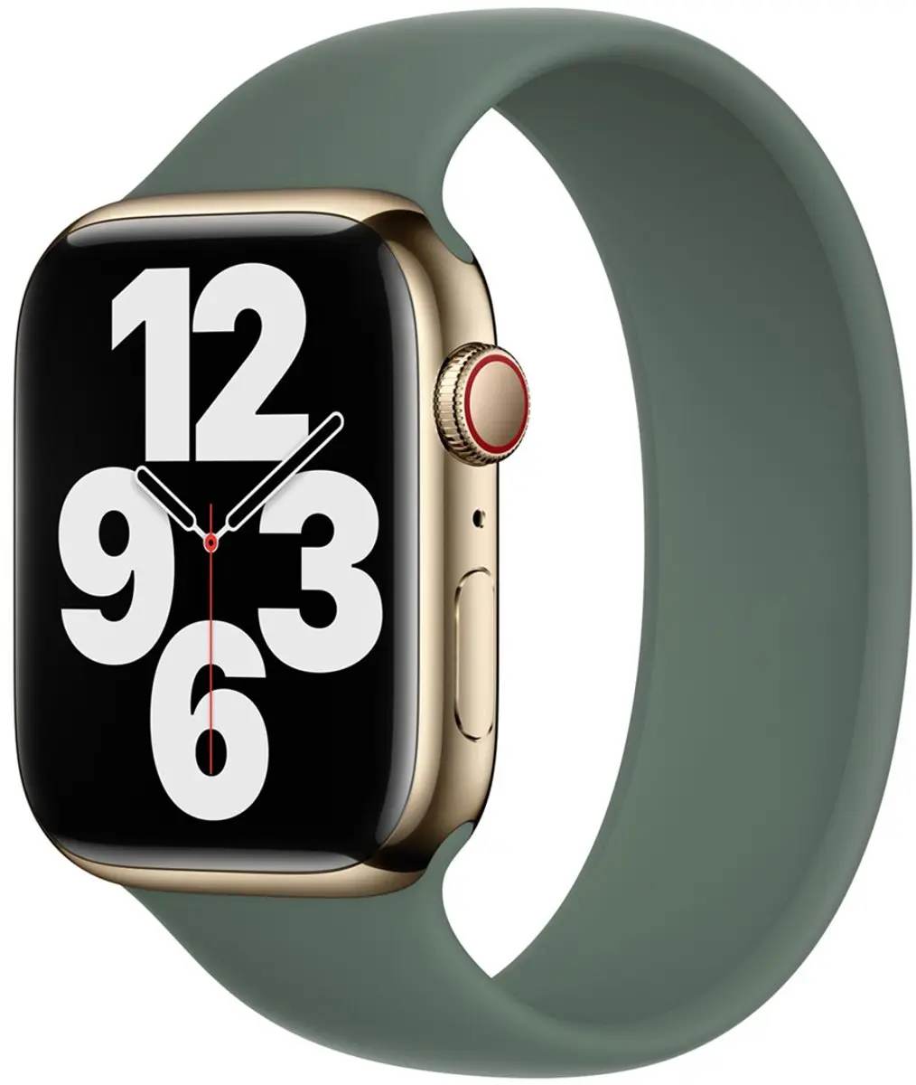 Apple Siliconen Solobandje Eucalyptus