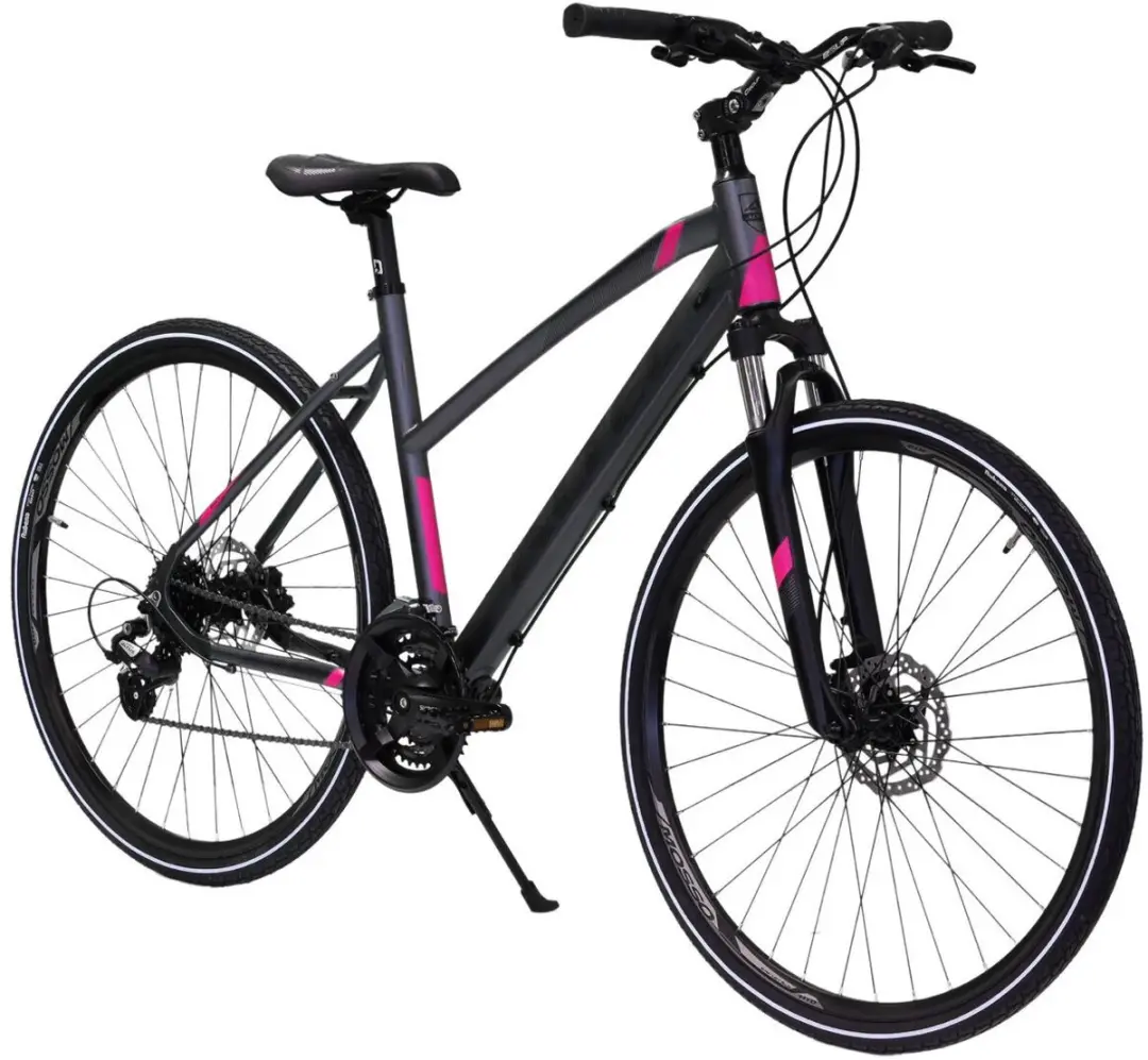 Altec Legarda Damesfiets 28" - 24V Hydraulische schijfrem - 49cm Antraciet