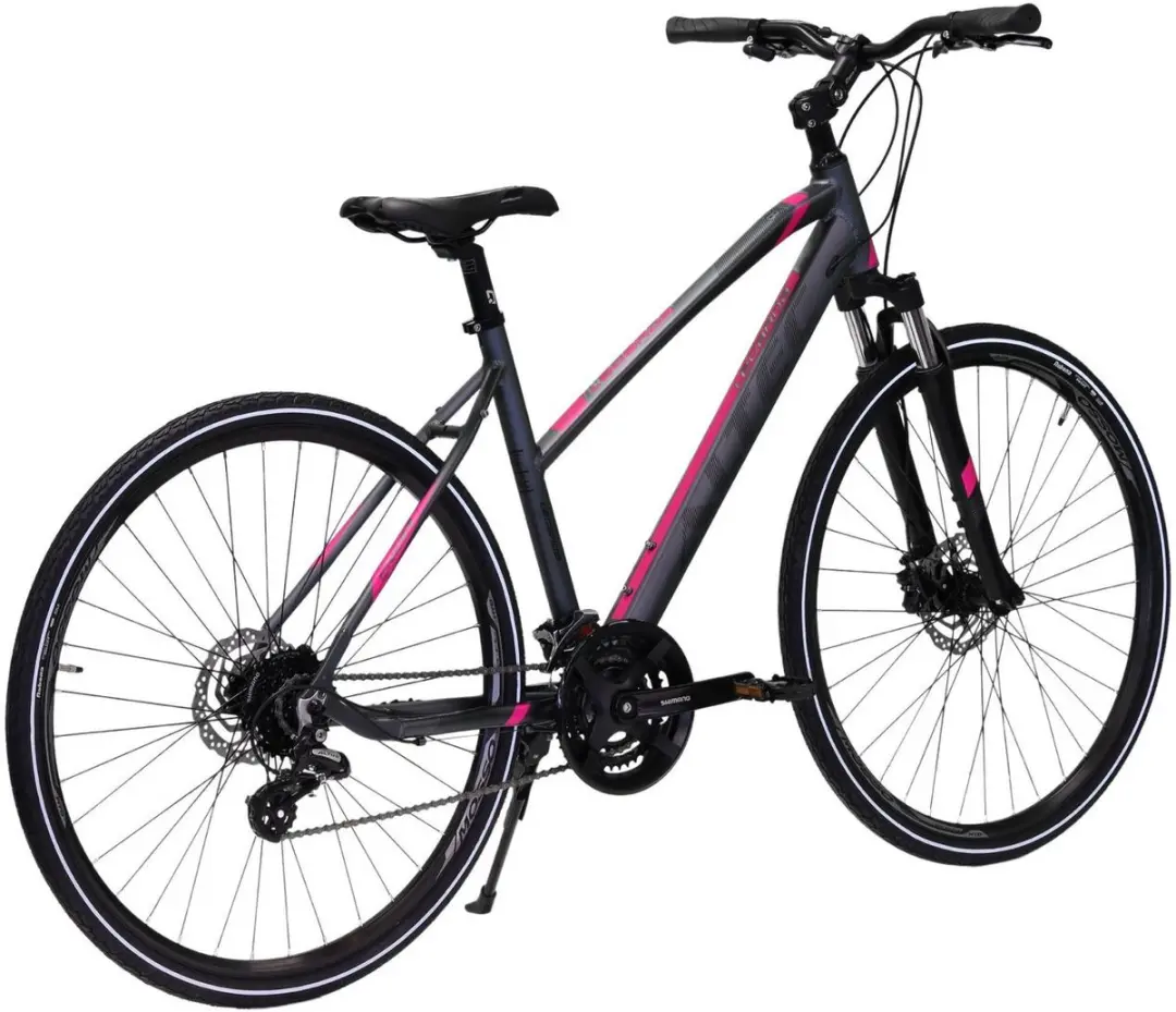 Altec Legarda Damesfiets 28" - 24V Hydraulische schijfrem - 49cm Antraciet