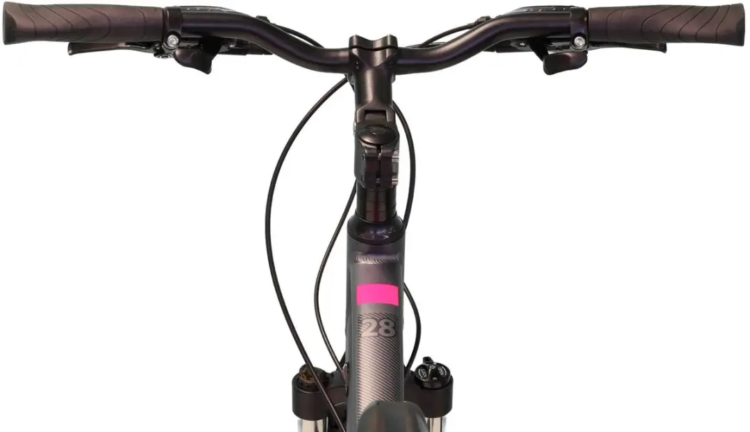 Altec Legarda Damesfiets 28" - 24V Hydraulische schijfrem - 49cm Antraciet