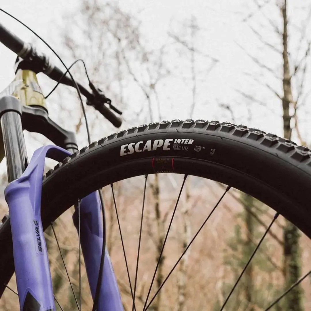 Goodyear Escape Inter Lite 29 Inch Mountainbikeband
