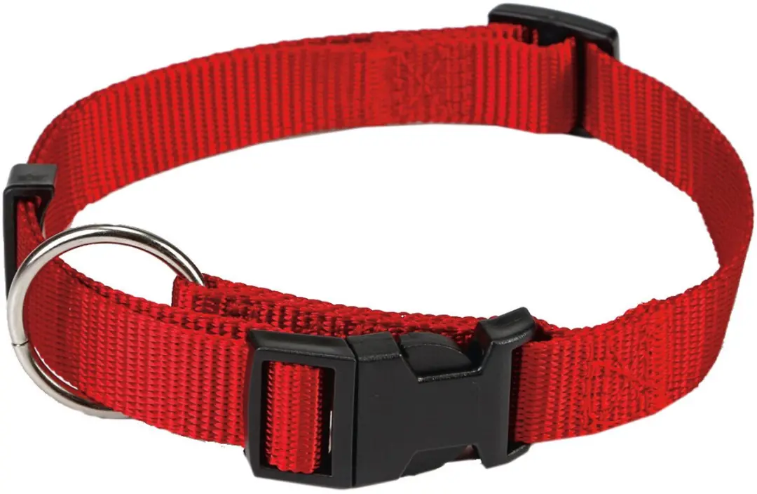 Beeztees Halsband Hond Rood 22-35cm x 10mm - afbeelding 4 van 6